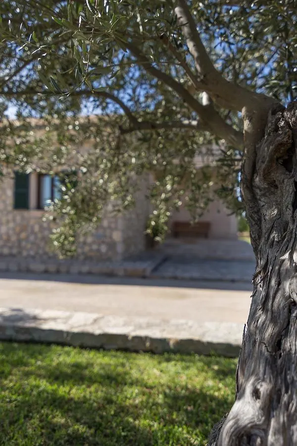 Es Rasquell Vila Inca  Villa Inca (Mallorca)